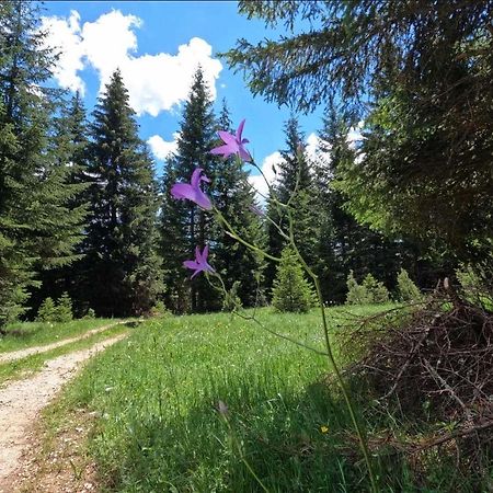 Wood Inn Žabljak Εξωτερικό φωτογραφία