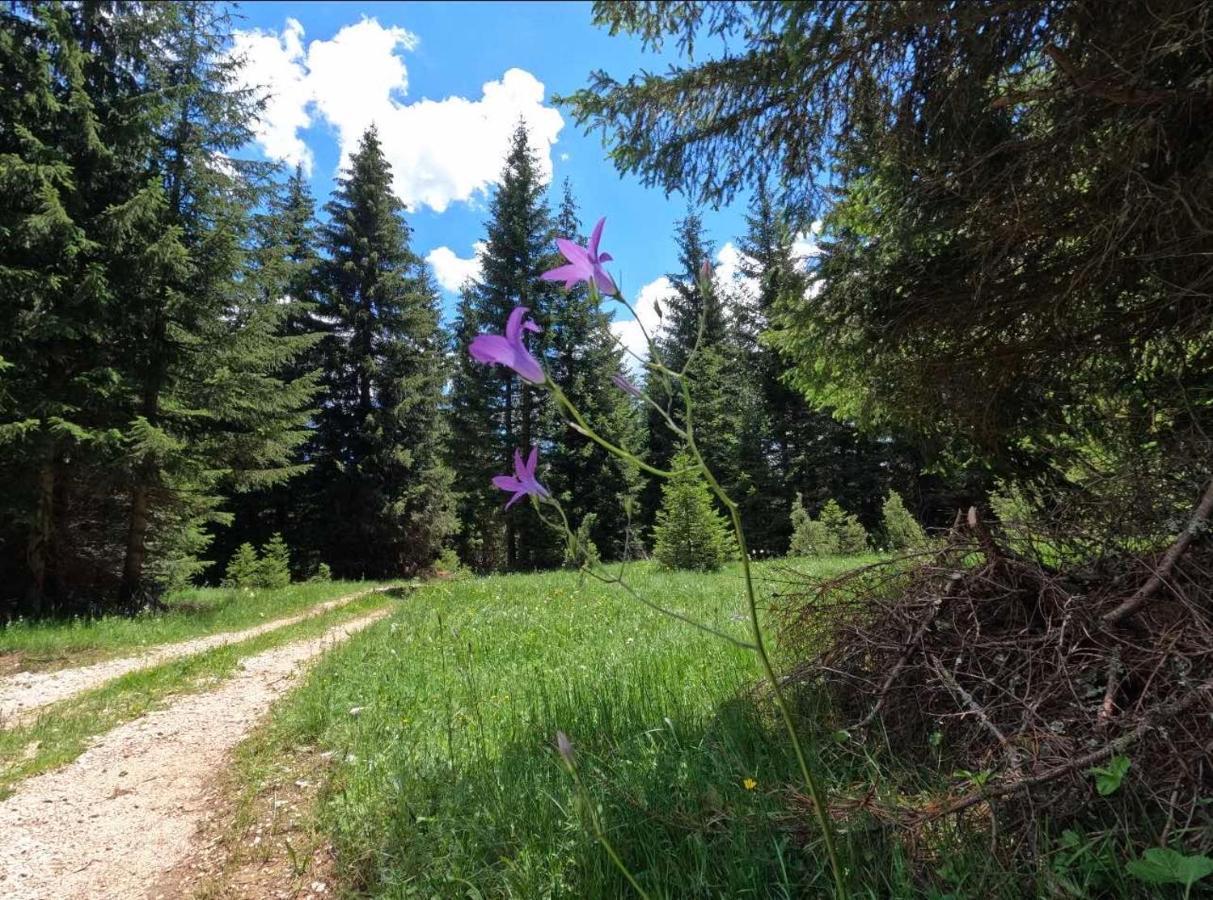 Wood Inn Žabljak Εξωτερικό φωτογραφία